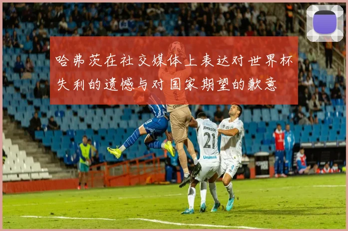 哈弗茨在社交媒体上表达对世界杯失利的遗憾与对国家期望的歉意
